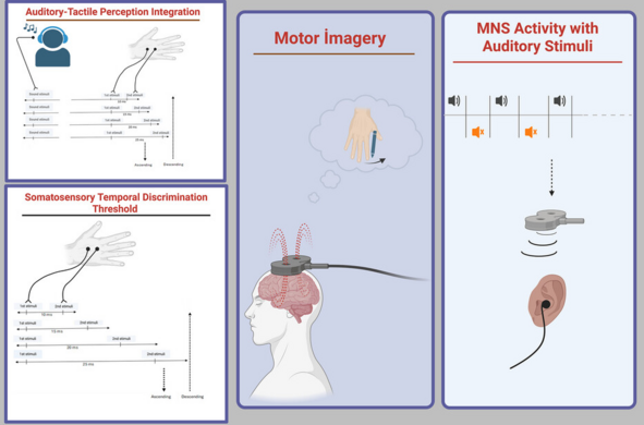 Graphical abstract