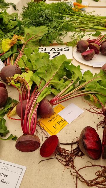 A table of beetroot, cleanly sliced to check the rings. They too have been judged.