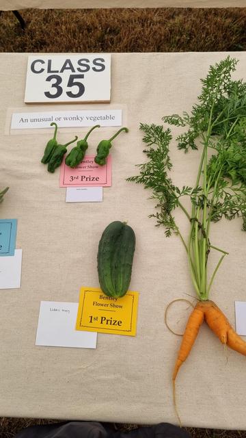 A table of oddly shaped or unusual vegetables. They are all judged. And some found wanting.