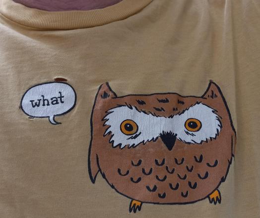The top part of a yellow tee-shirt featuring a small owl with a speech bubble. "What?", it asks.