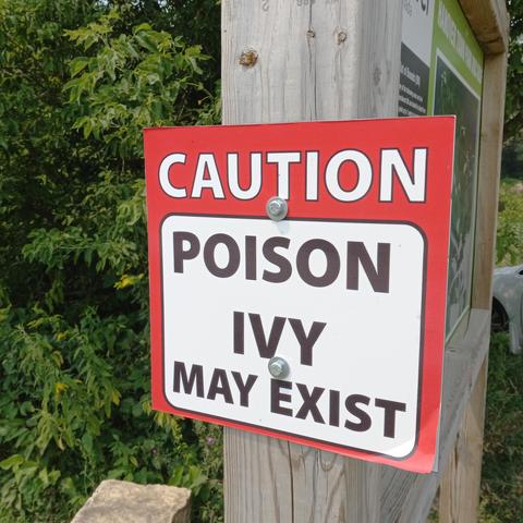 A red and white sign on a wooden post with trees in the background. It reads: Caution. Poison Ivy May Exist.
