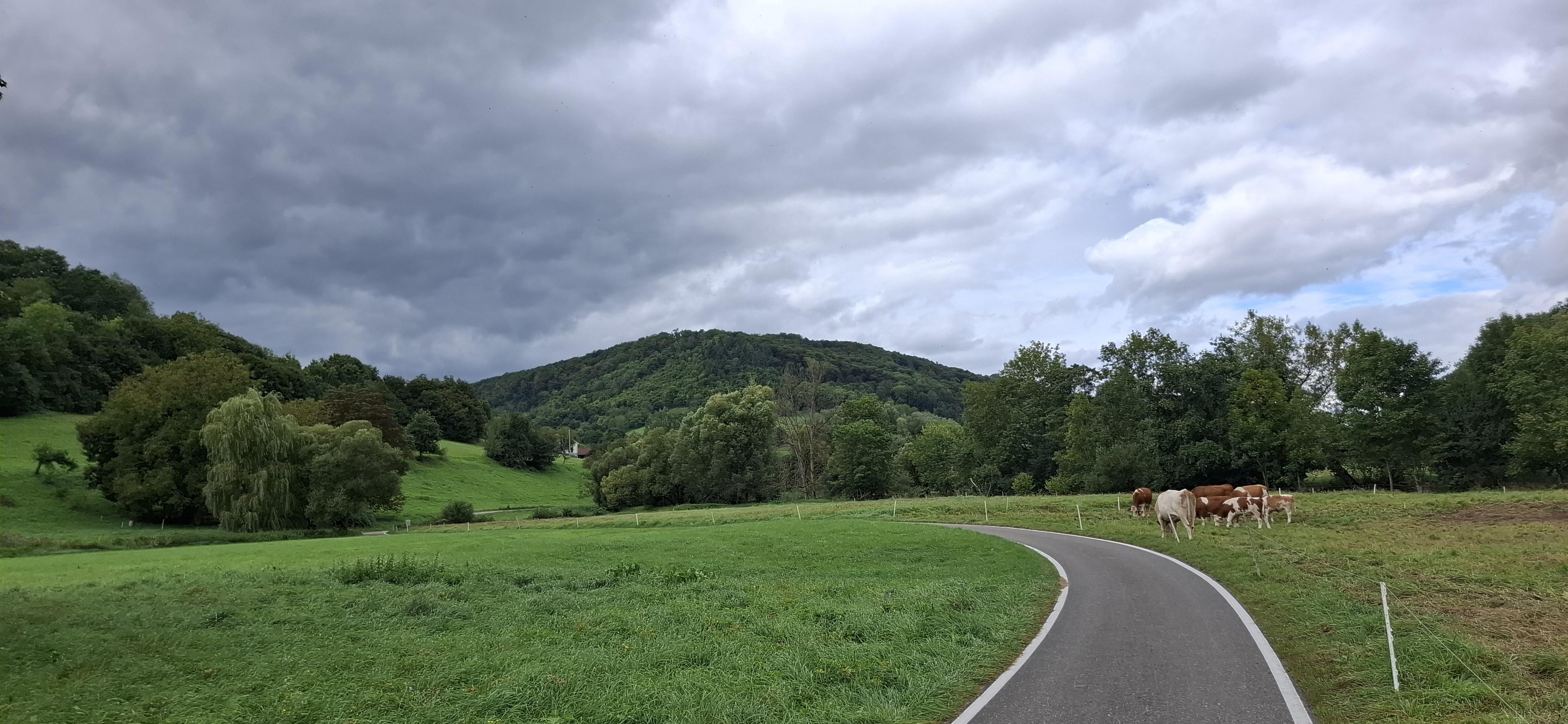 Kocher valley - meadow left, pasture right.