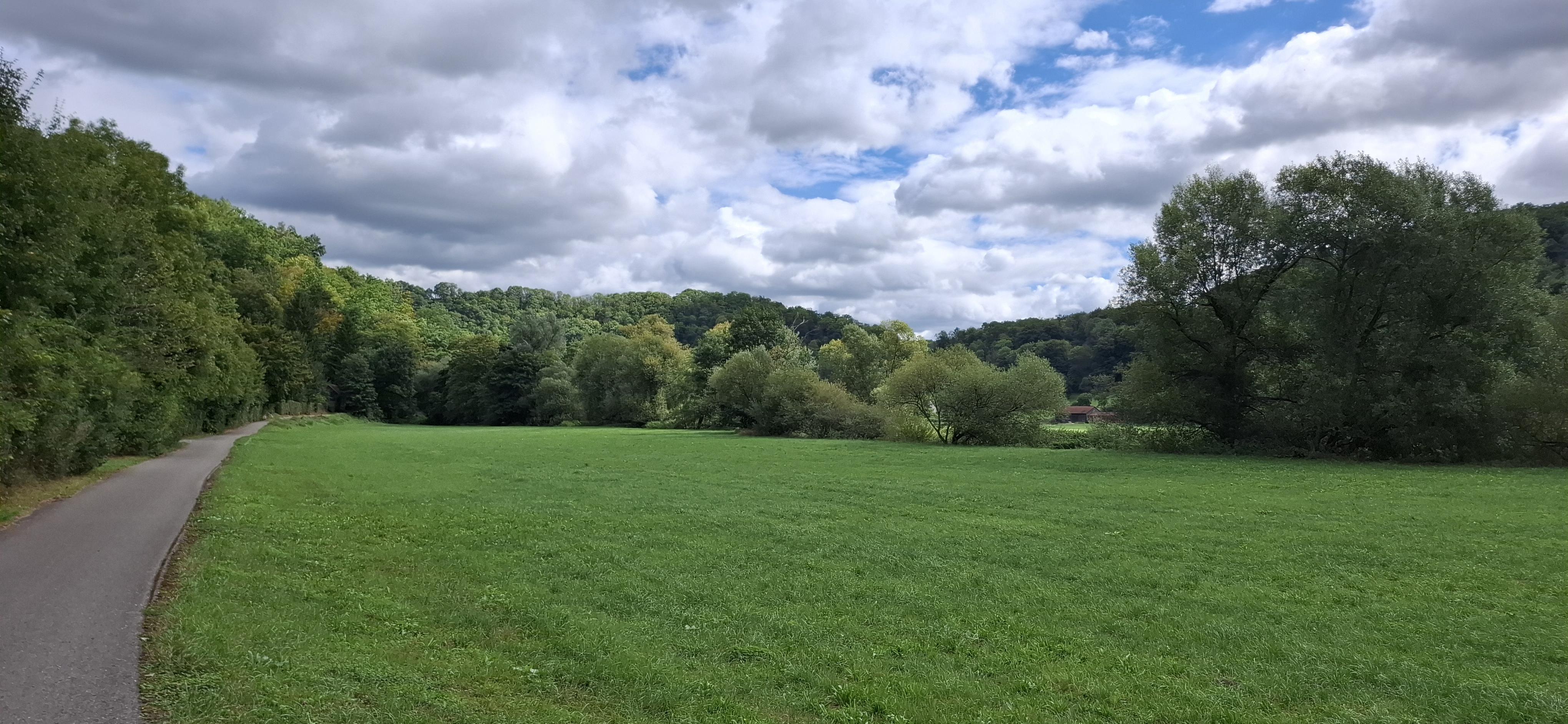Meadowy countryside. A bike path to the left. The rest is different shades of green. Blue sky with white clouds.